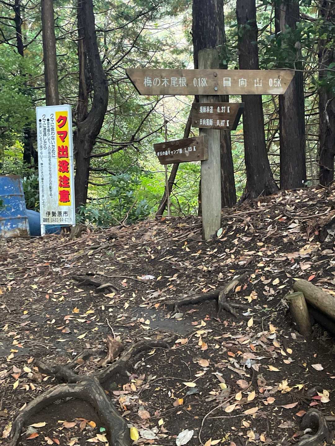 この近くに足跡がありました。きっと、イノシシ🐗だよね💦💦