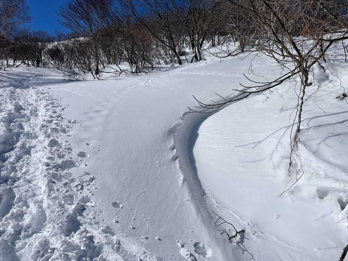 登山道は右手ですがトレースは真っ直ぐ