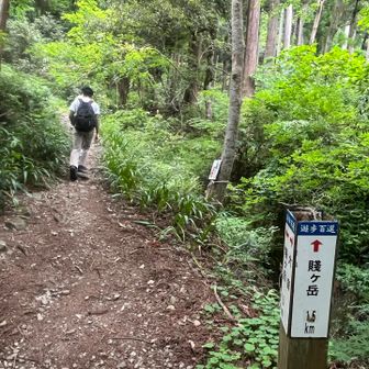 さぁ、登ります！