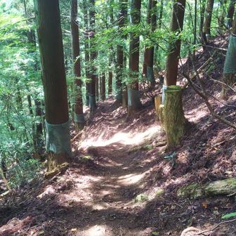 下山します