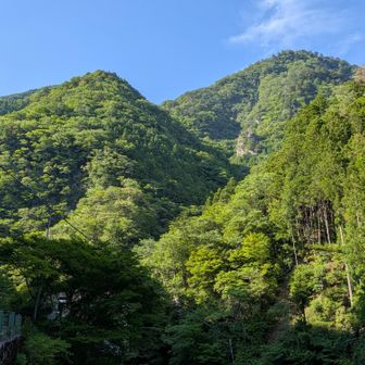 下りてきました。
なかなかハードだった😅