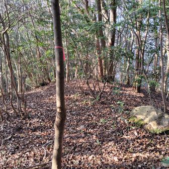 先に進みます。