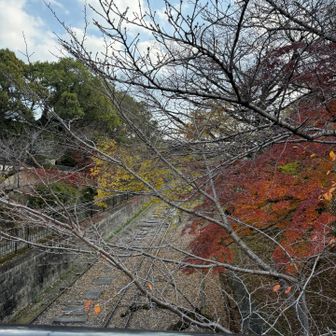 いつもの　蹴上インクライン