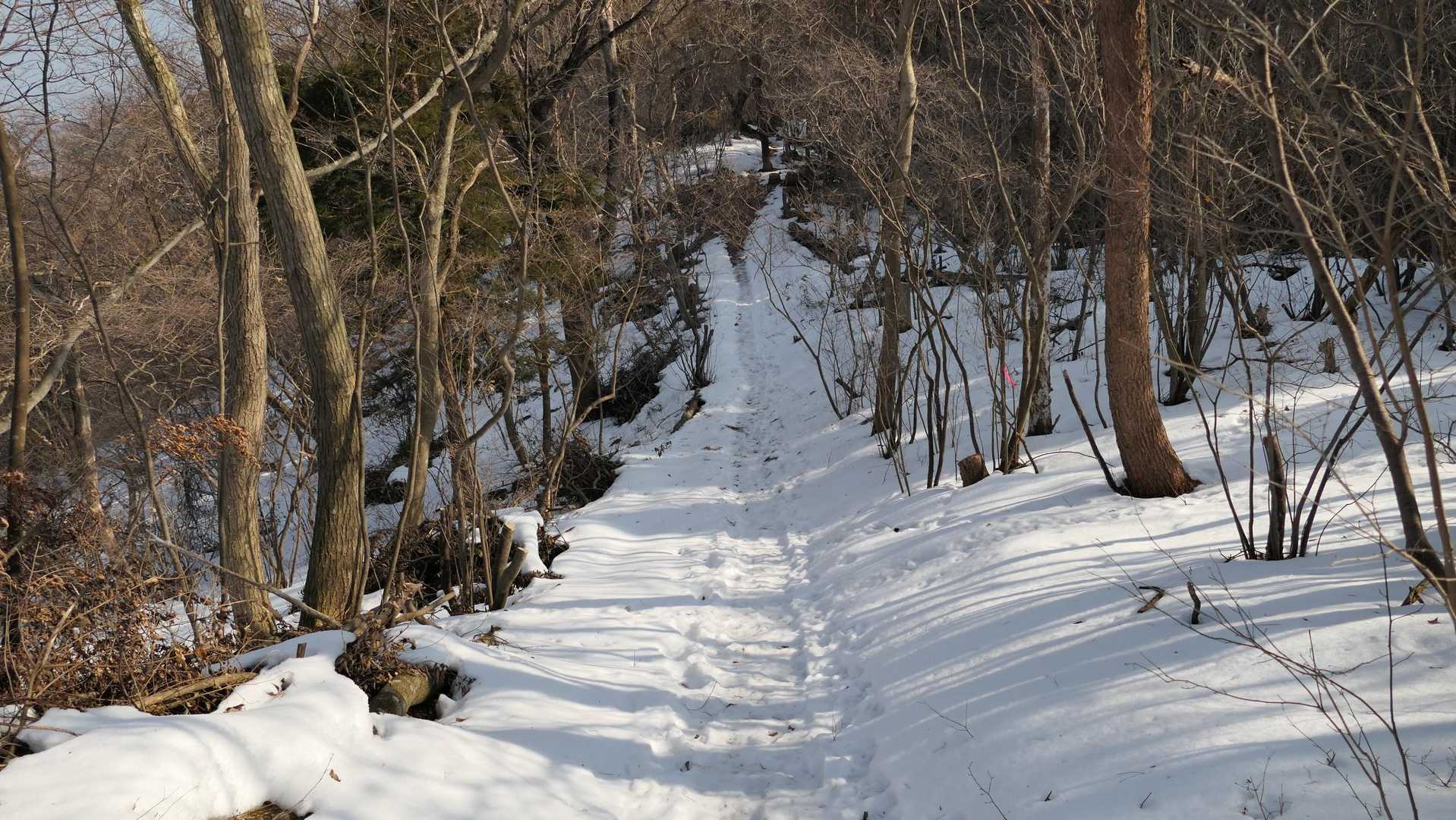 駒形山から経塚山へ向かう道は８割方❄️雪道でした。
アルプスらしく？一部の道は🥶凍っていたのでスパイクがあるとより安全ですね😊。