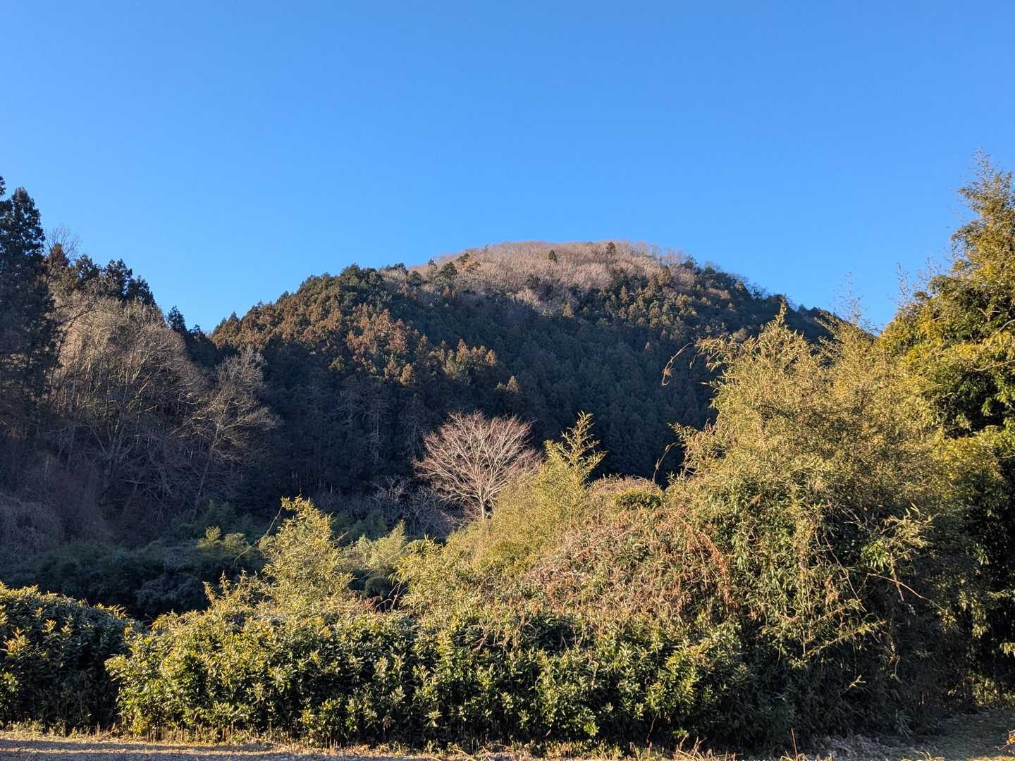 砂羅向山（ざらむきやま）に向かってスタートしました⛰️
