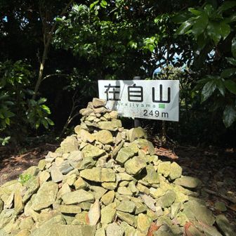 山頂