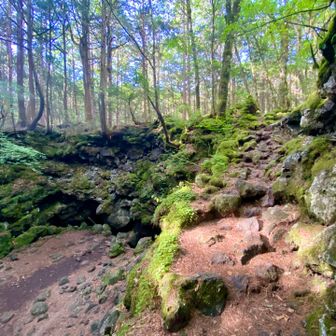 風穴を登って戻る