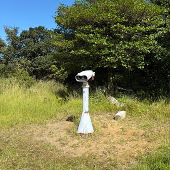 日差しがまぶしそう