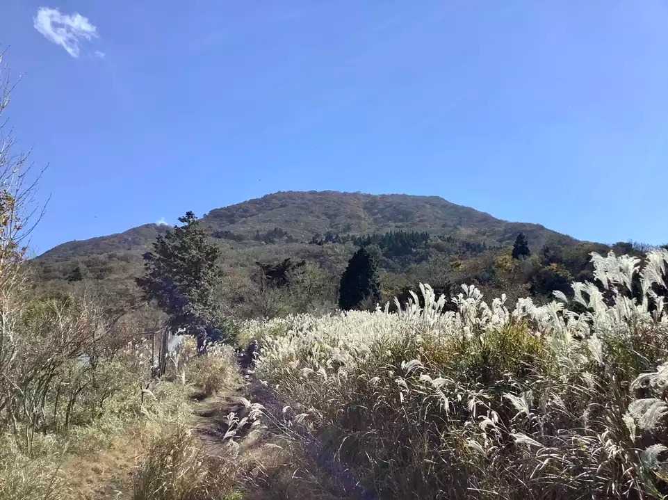 越前岳の写真