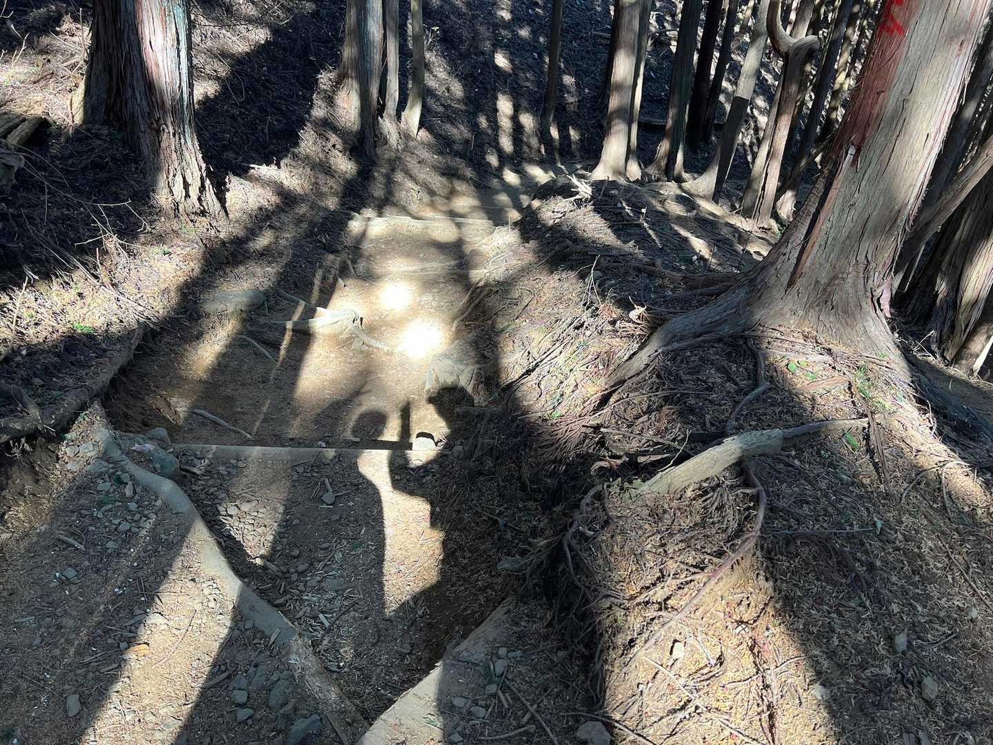 娘と影で遊び