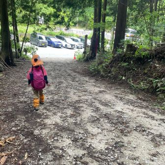 さーて、百ヶ辻登山口到着です🤗

ルカちゃんはババ谷ルートが気に入ったらしく💯の評価でした🫶

今日は風が強く、しかも下山時ヘリコプターが低空旋回しており音もすごくて💦
帰りに消防車やレスキュー車が来てたので、何かあったのかなぁ😖と心配になりました😭
雨で地面はぬかるんでたし、私達も今回は慎重に山行しました😮‍💨

無事下山出来て何よりです！

最後までご覧いただきありがとうございます😊

さぁ次はどの山に登ろうかぁ⛰️
