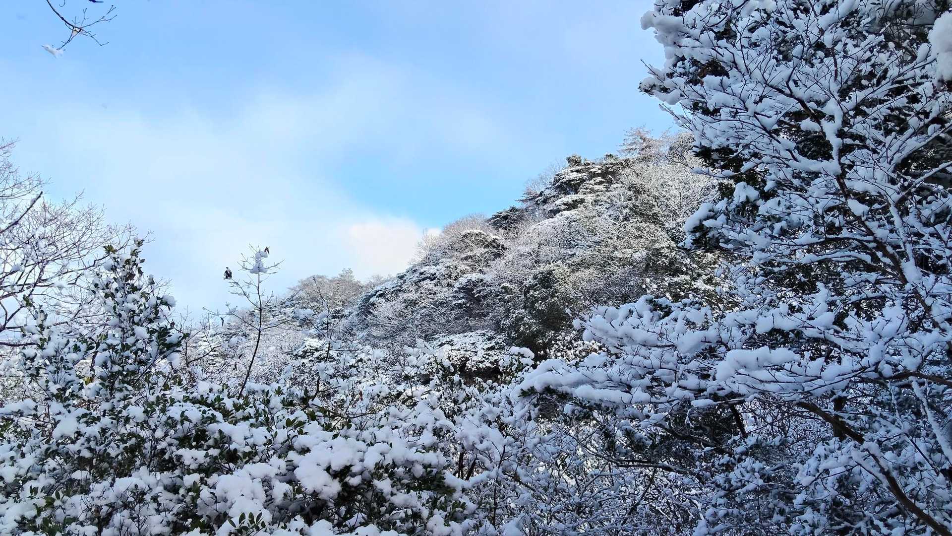 大谷登山口-馬ヶ岳 往復コースの写真
