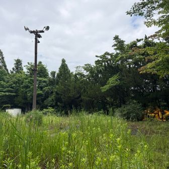 山小屋と謎の建造物を通過。