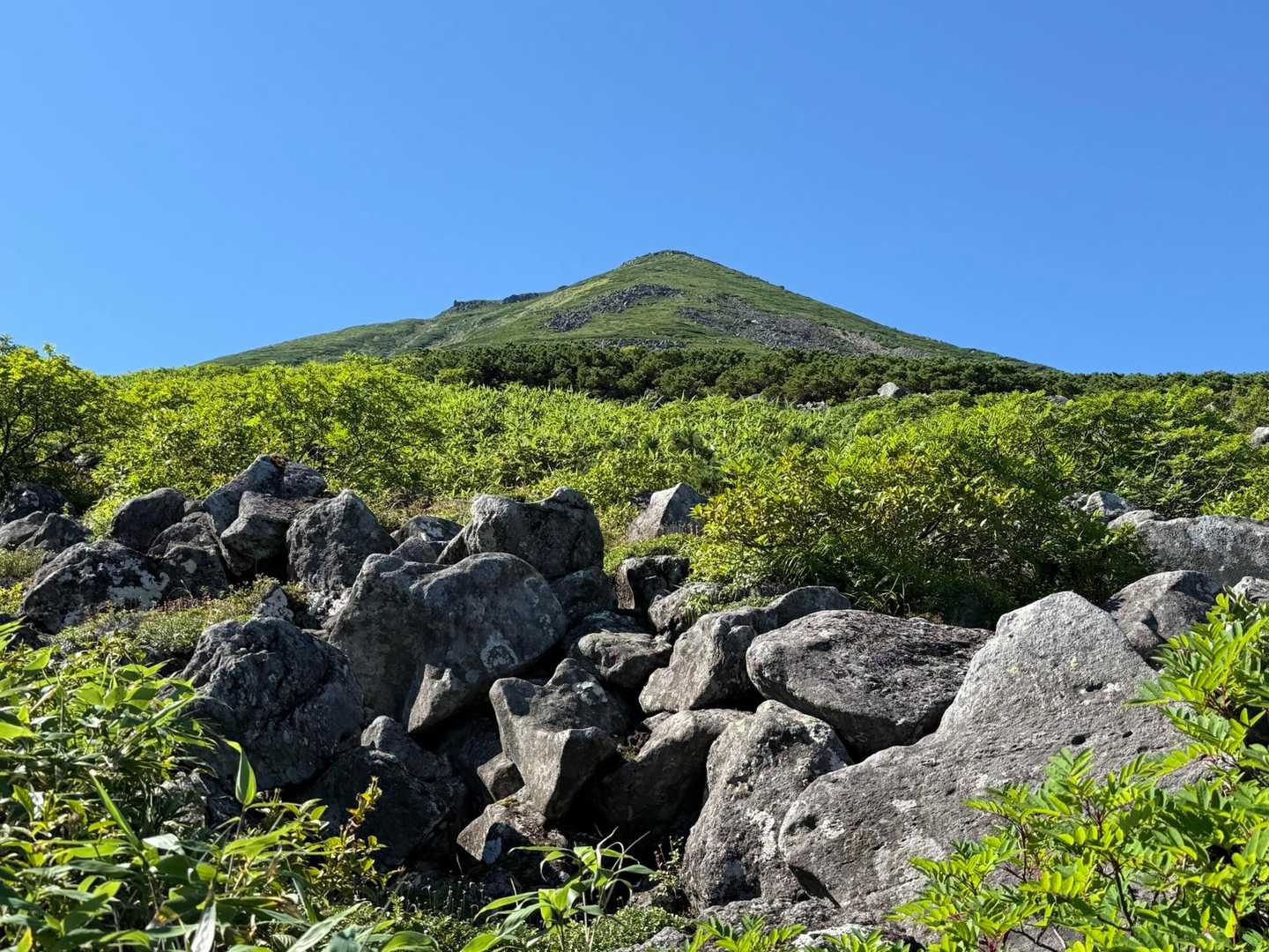 美瑛富士だー🗻！
