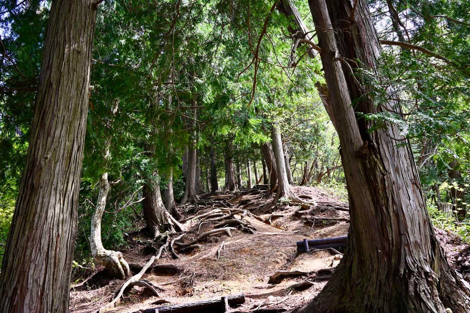 中蒜山の急登です