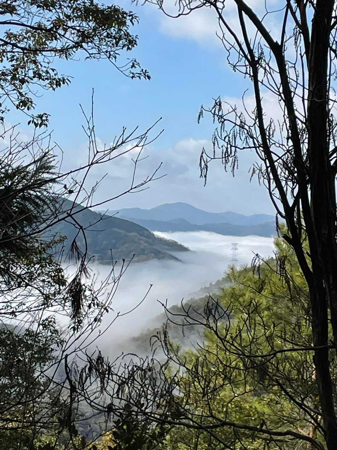 荒神峠-愛宕山-清滝バス停 縦走コースの写真
