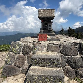 お馴染みの根子