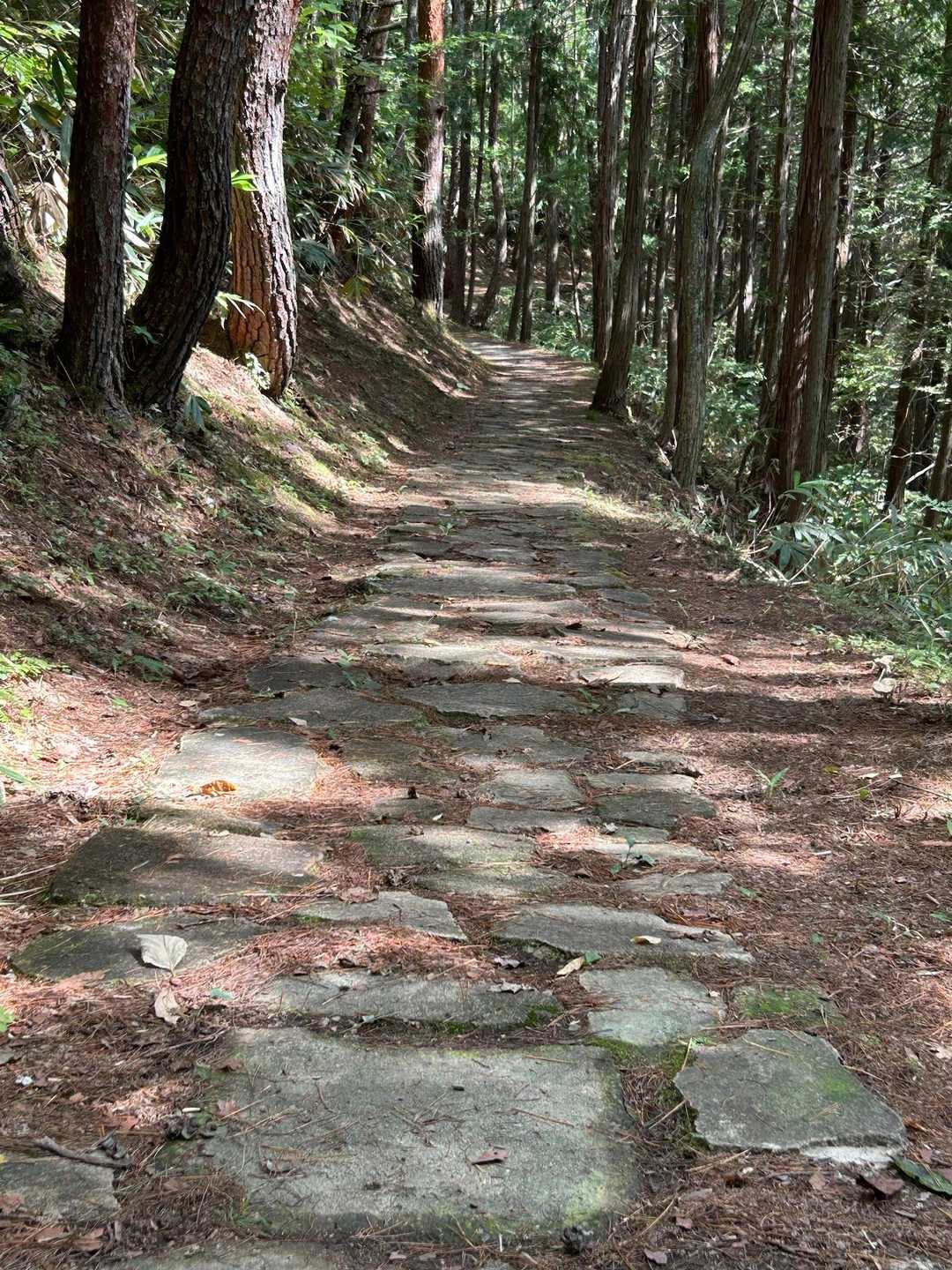 🌳石畳み松倉遊歩道🌲
