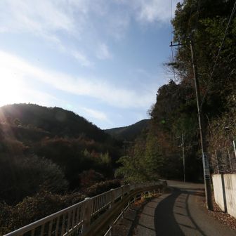 真っすぐ小仏峠へ！