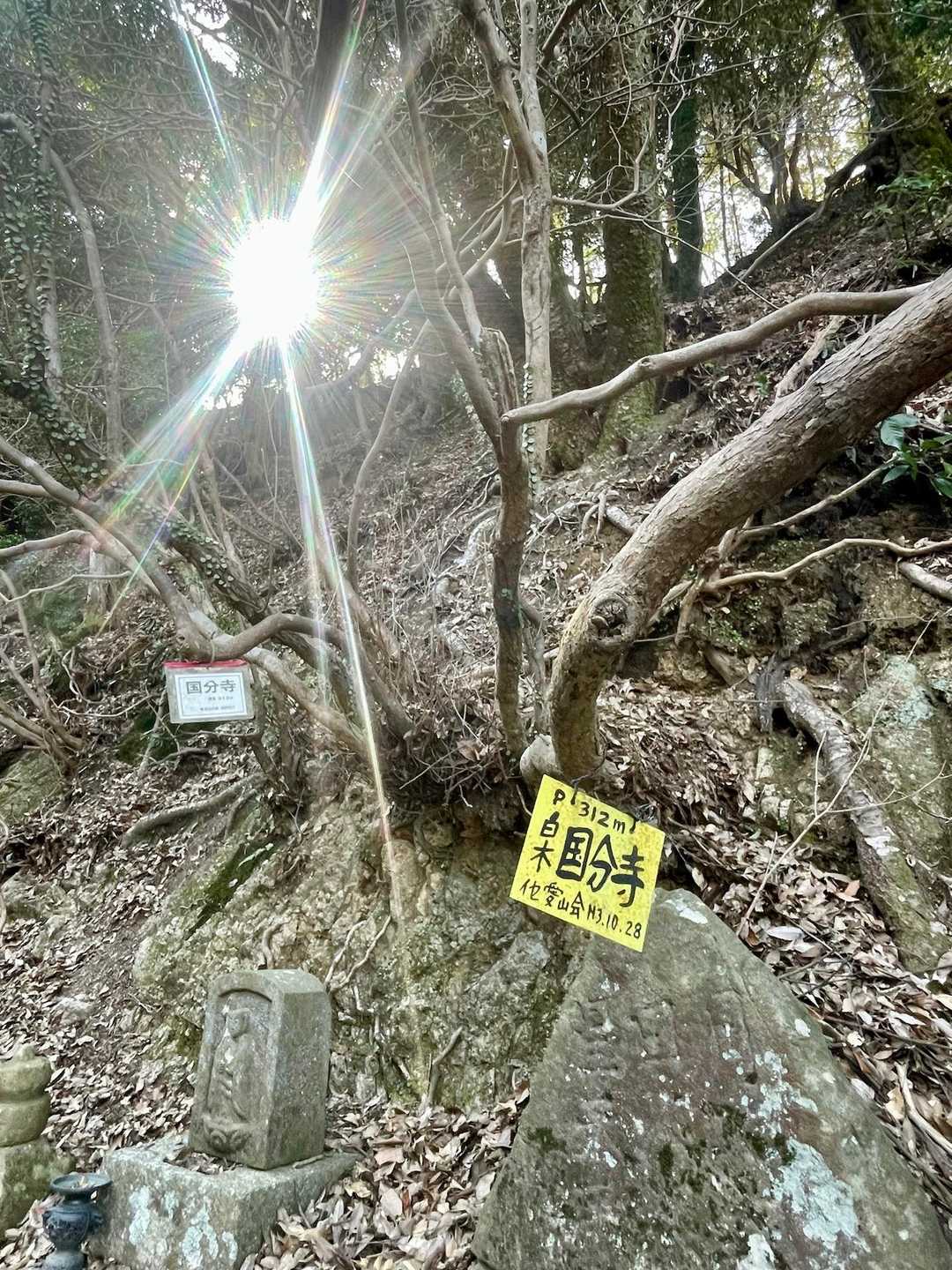 右の細い道へ👉