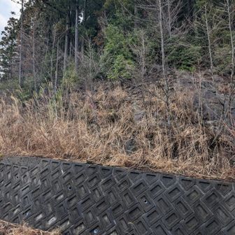バリルートの取り付き箇所。
ピンテあるけど‥何をどう取り付くのかちょっと不明な「中級者以上向き」らしい尾根。中級者‥で合ってるかなあ？💦