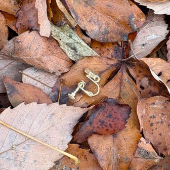 森の中にイヤリング落としたら「ところが」って熊さんが付いてくるよー🐻