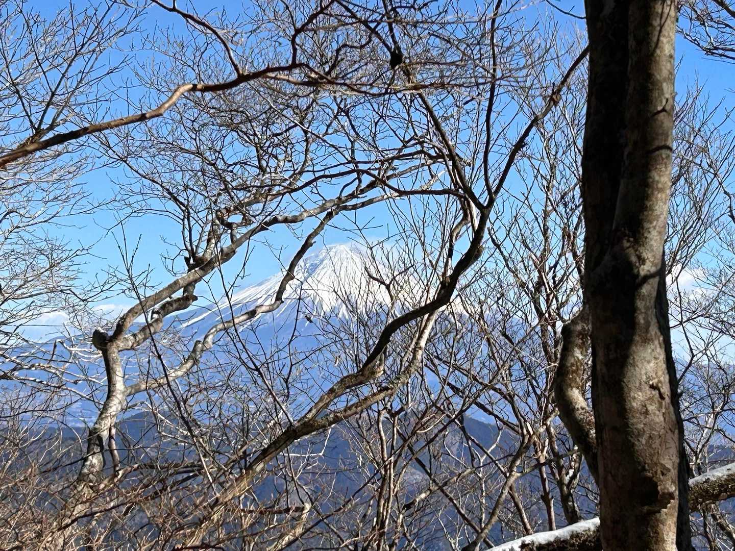 富士山🗻