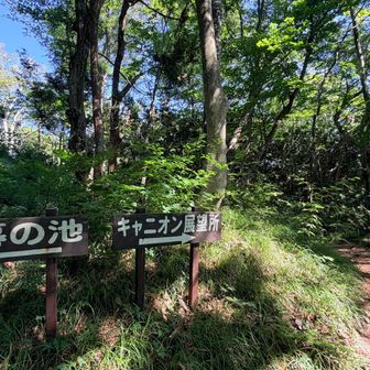 あっという間に到着