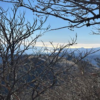 山頂からの眺望はほとんどありません。天城山と同じくらいです。