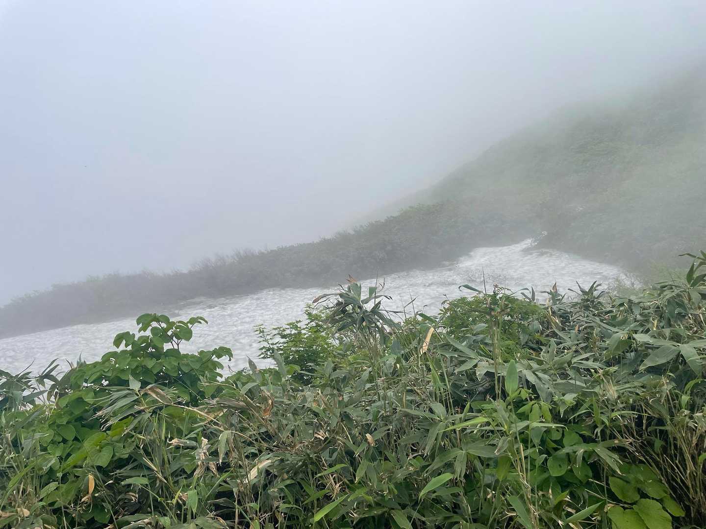 雪渓が出てきた〜☃️
この辺りの道は枝折峠から登っても通る道なんだけど、なだらかでもしやそっちから登ればずっとこんななだらかなのか…？？？と思ったけどこういう機会がないとこのコースからなんて登らないからね🤣とポジティブ思考✌️