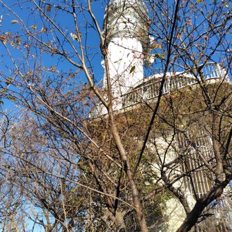 白い塔は国土交通省の雨量計だそうです
