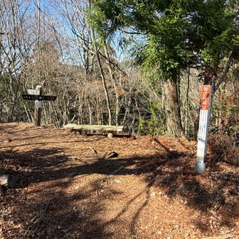 岩古谷城跡の標識＠岩古谷山、こんなところに曲輪があったのか！