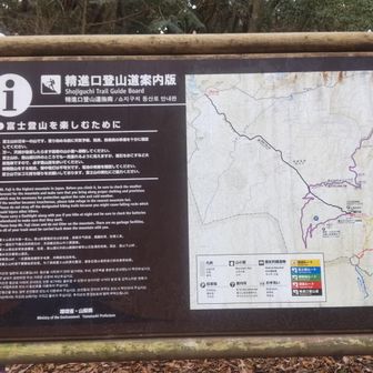 ここから富士山を目指す人もいるのかな