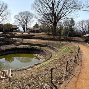 金山にはこんな城跡地が再現されてて、観光には最高です👍