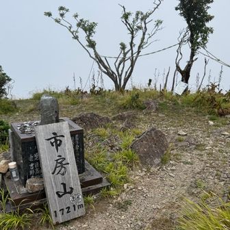 1回目の市房山山頂、無が広がっています