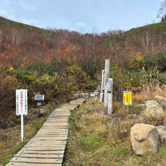 酸ヶ湯登山口到着！
今日はこのあと予定あるのですぐに帰宅🚗