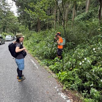こんな感じ
にしても水越峠の下りはえぐい、、、