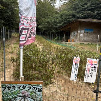 柵を閉めて帰ります↩️