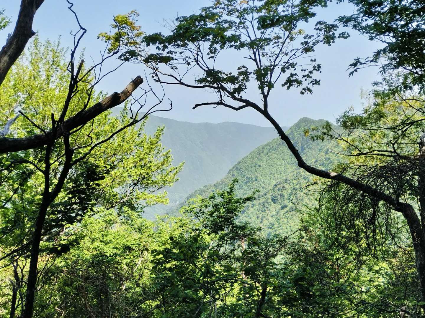 大永山トンネル口-綱繰山-西山-銅山越 往復コースの写真