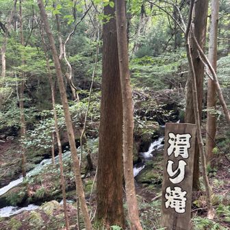 気持ちよさそうでしたん。
