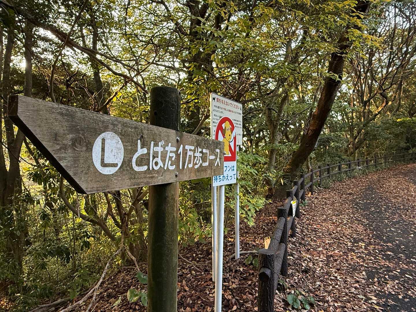 ここは戸畑なのか？😅

※この撮り方はアッキー師匠のパクリです💦