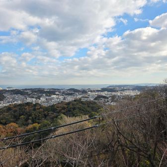 衣笠山山頂から横須賀市街方面