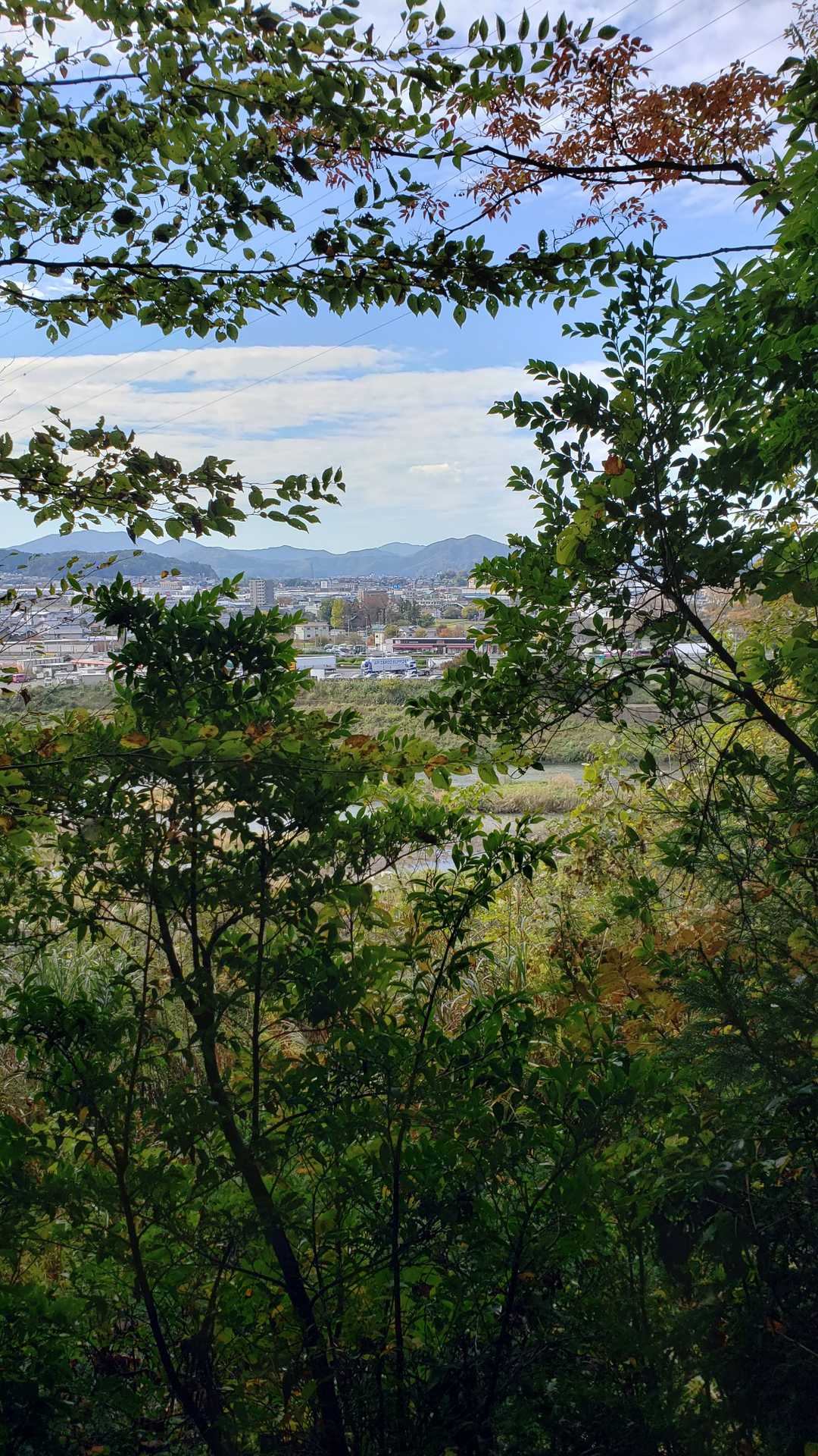 登山道の景色が🌏
鯖江の町並み👓