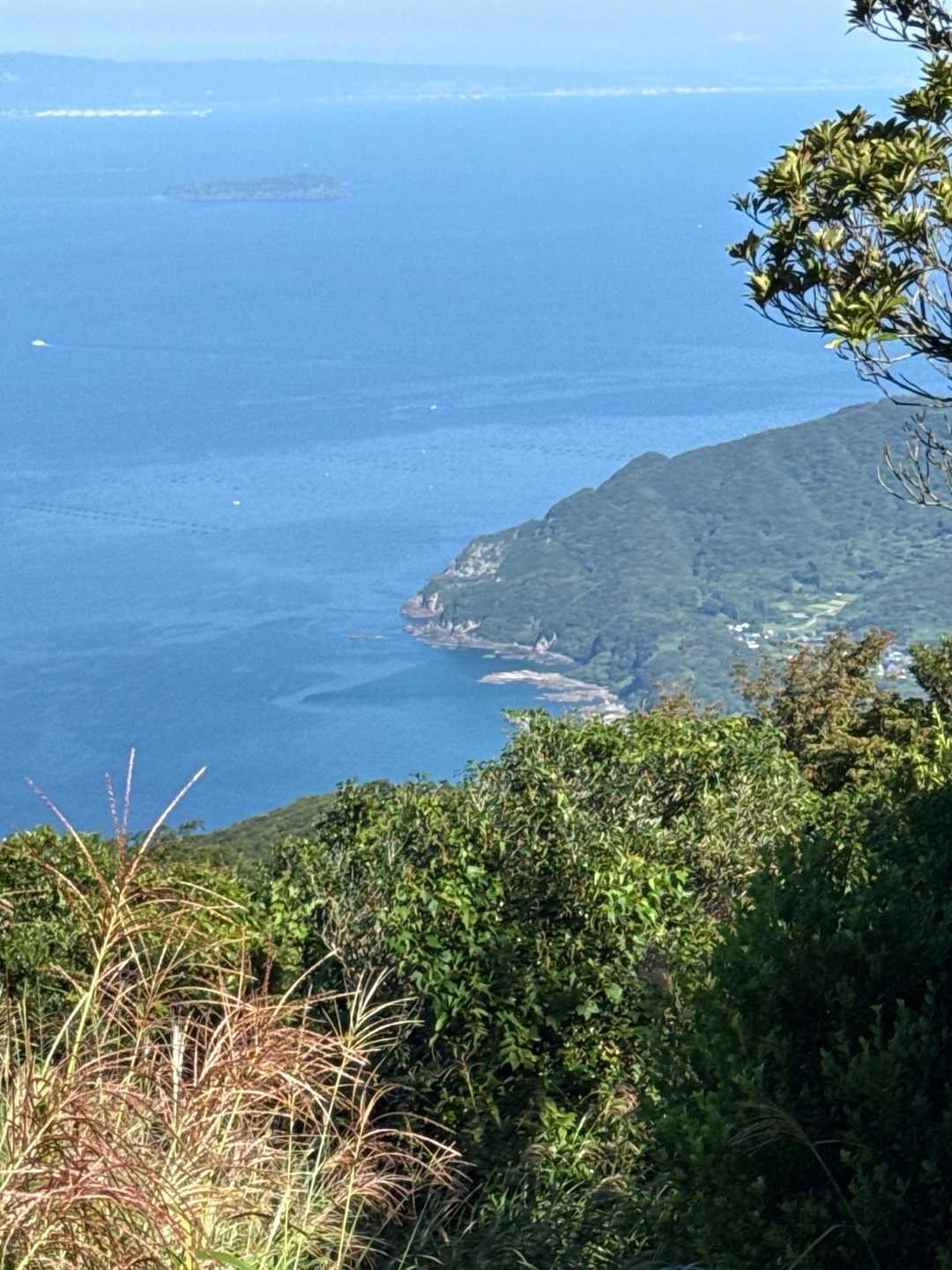 北側登山口-辻岳 往復コースの写真