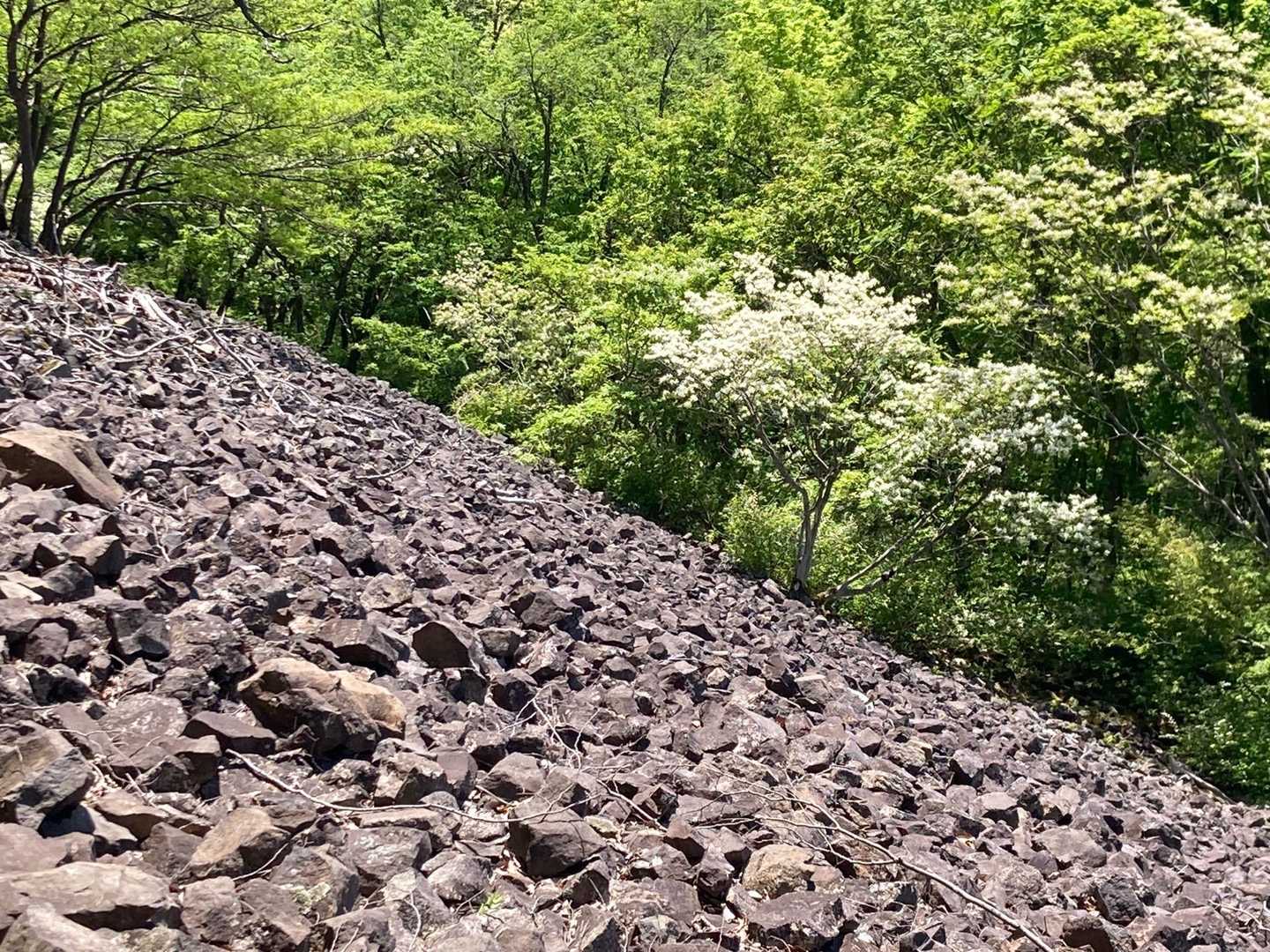 岩海🪨なぜこの場所にこんなに石が⁉️