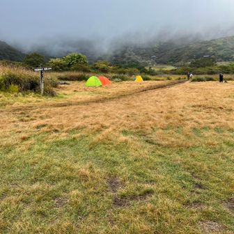 5時に目覚めたときは真っ白で、二度寝したけどやっぱりまだ真っ白です。
