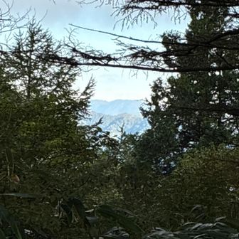 木々の隙間から少しでも。