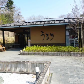 さがみ湖温泉「うるり」に到着