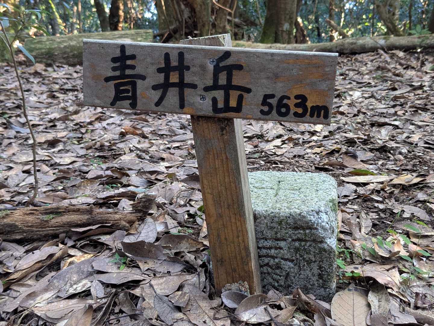 ひっそり山頂