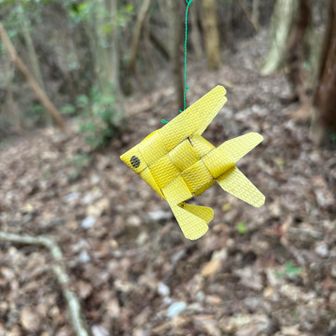どこかのお山で見たことある金魚がいつくかあって